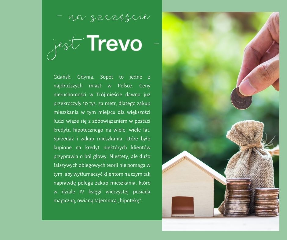 trevo 61923ed7f0517 raw