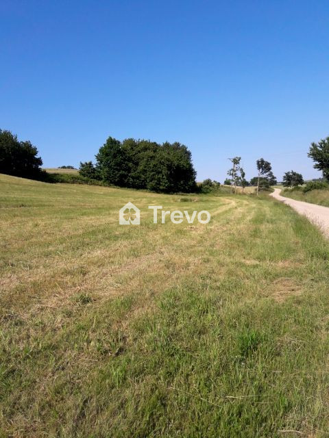 Property 11427284 - Gallery Image 2