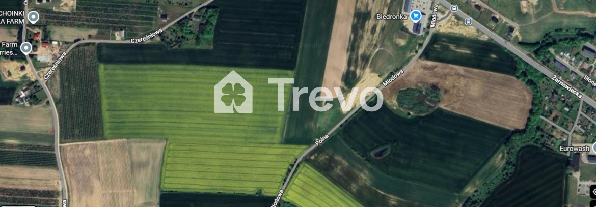 Property 11427284 - Gallery Image 4