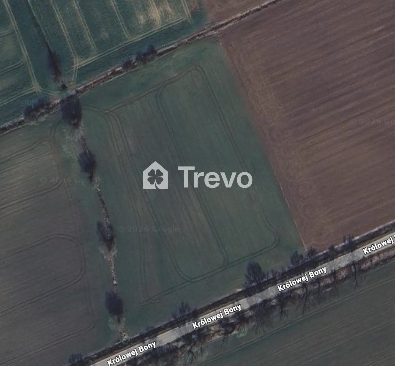 Property 11668181 - Gallery Image 2