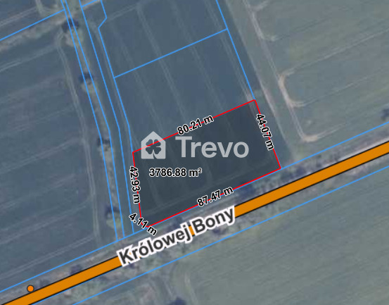 Property 11668181 - Gallery Image 4