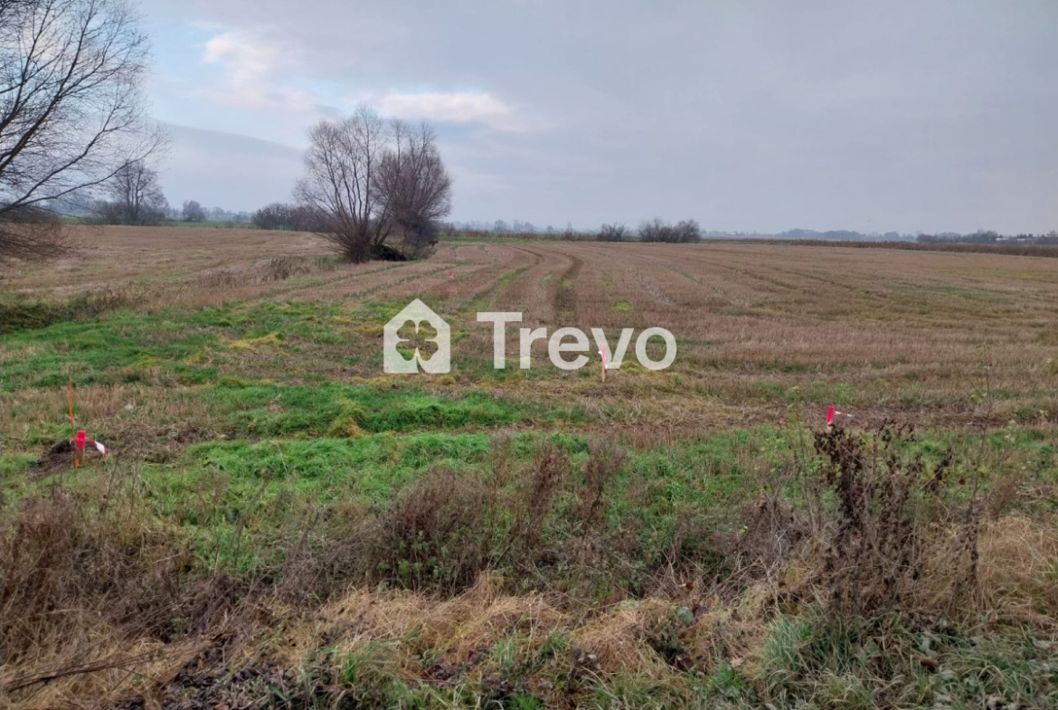 Property 11668181 - Gallery Image 6