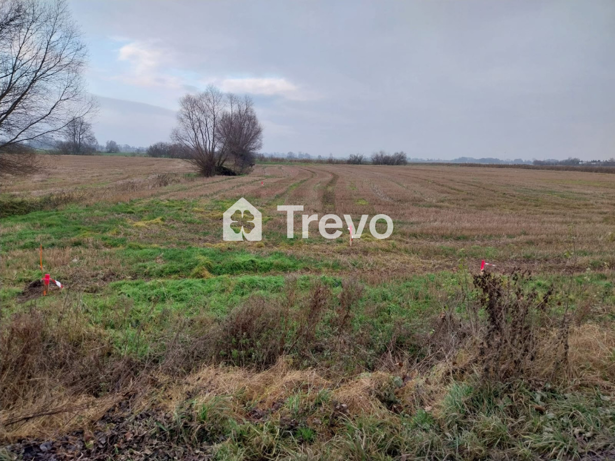 Property 11668181 - Gallery Image 6