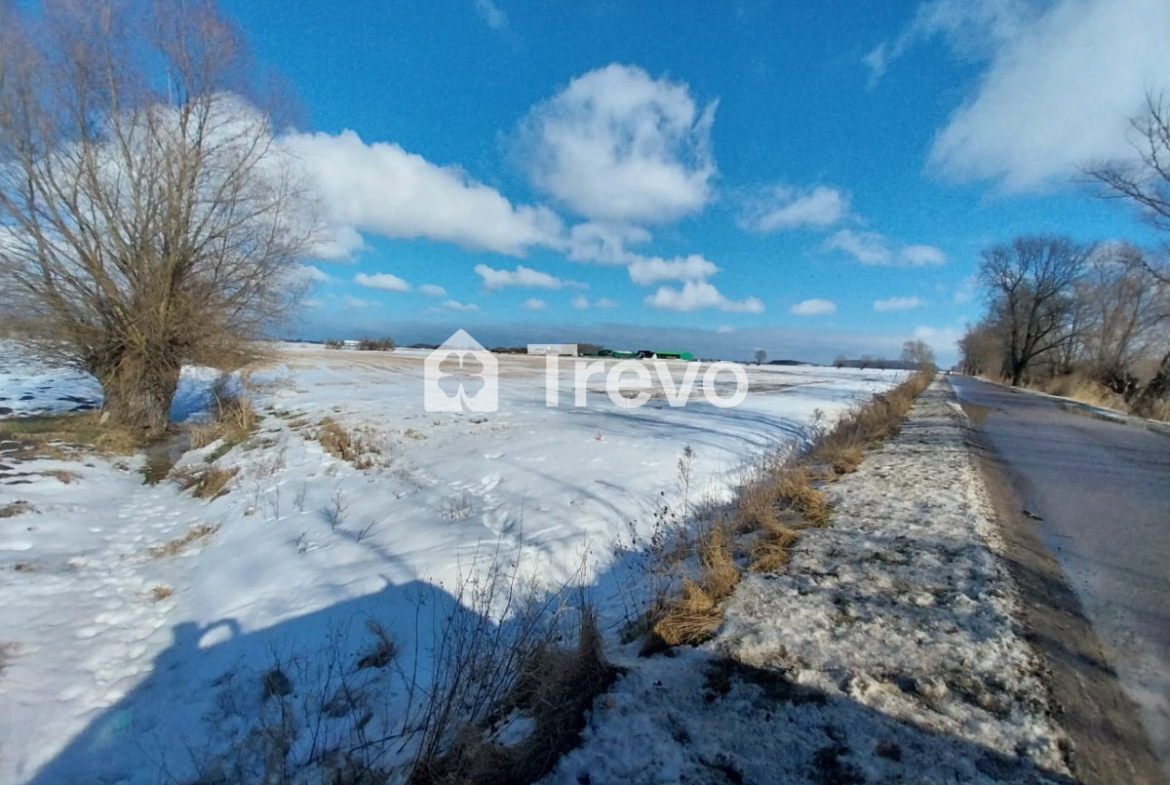 Property 11668181 - Gallery Image 7