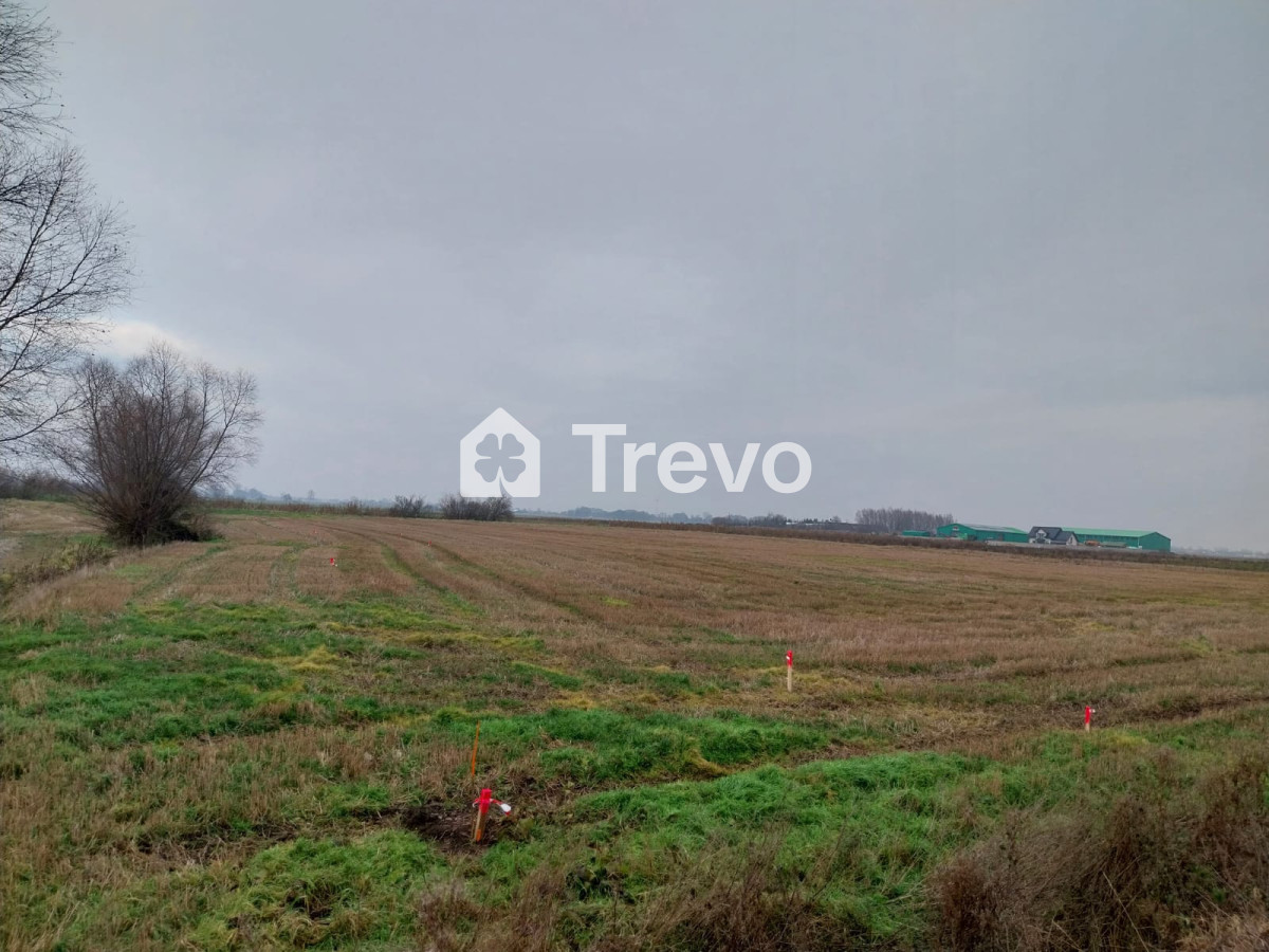 Property 11668181 - Gallery Image 8