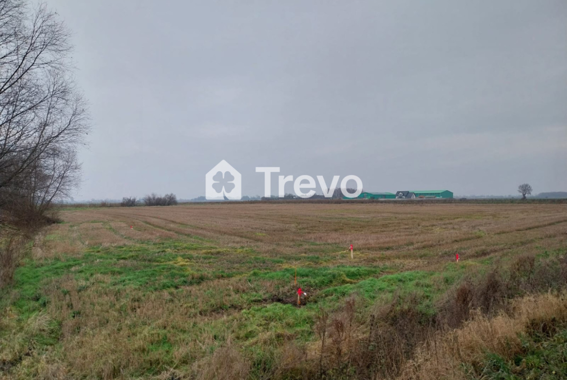 Property 11668181 - Gallery Image 9