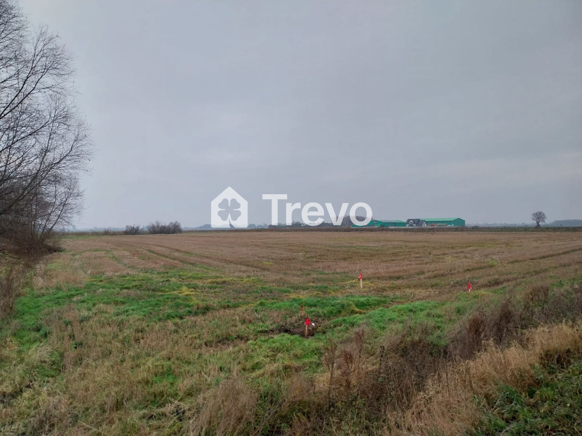 Property 11668181 - Gallery Image 9