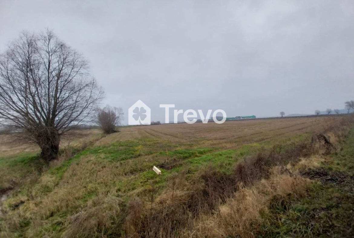 Property 11668181 - Gallery Image 10