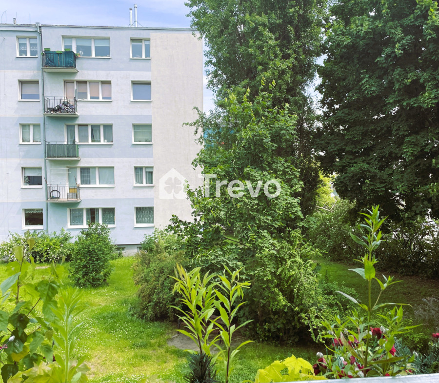 2-3 pokoje | Świetna Inwestycja | Bez zgody MSWiA - Gallery Image 2