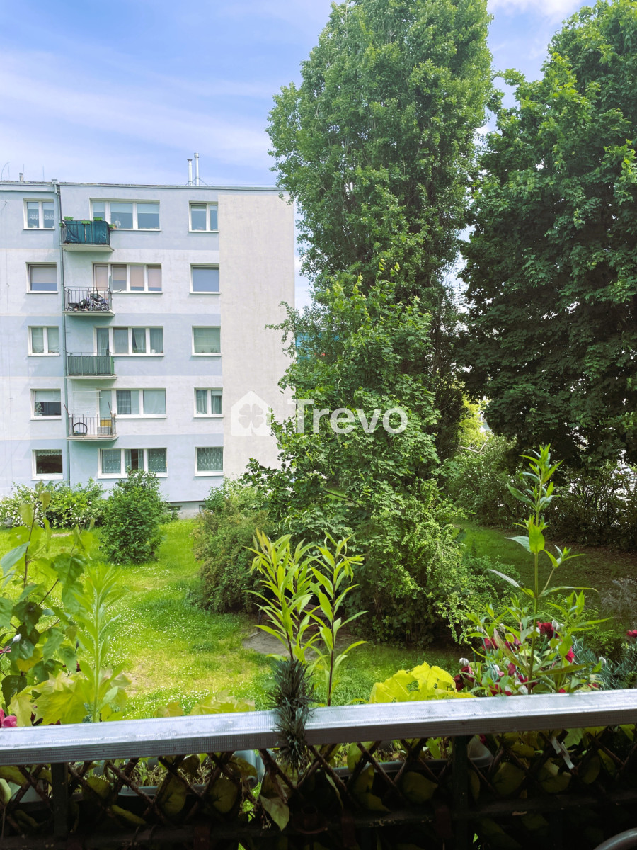 2-3 pokoje | Świetna Inwestycja | Bez zgody MSWiA - Gallery Image 2