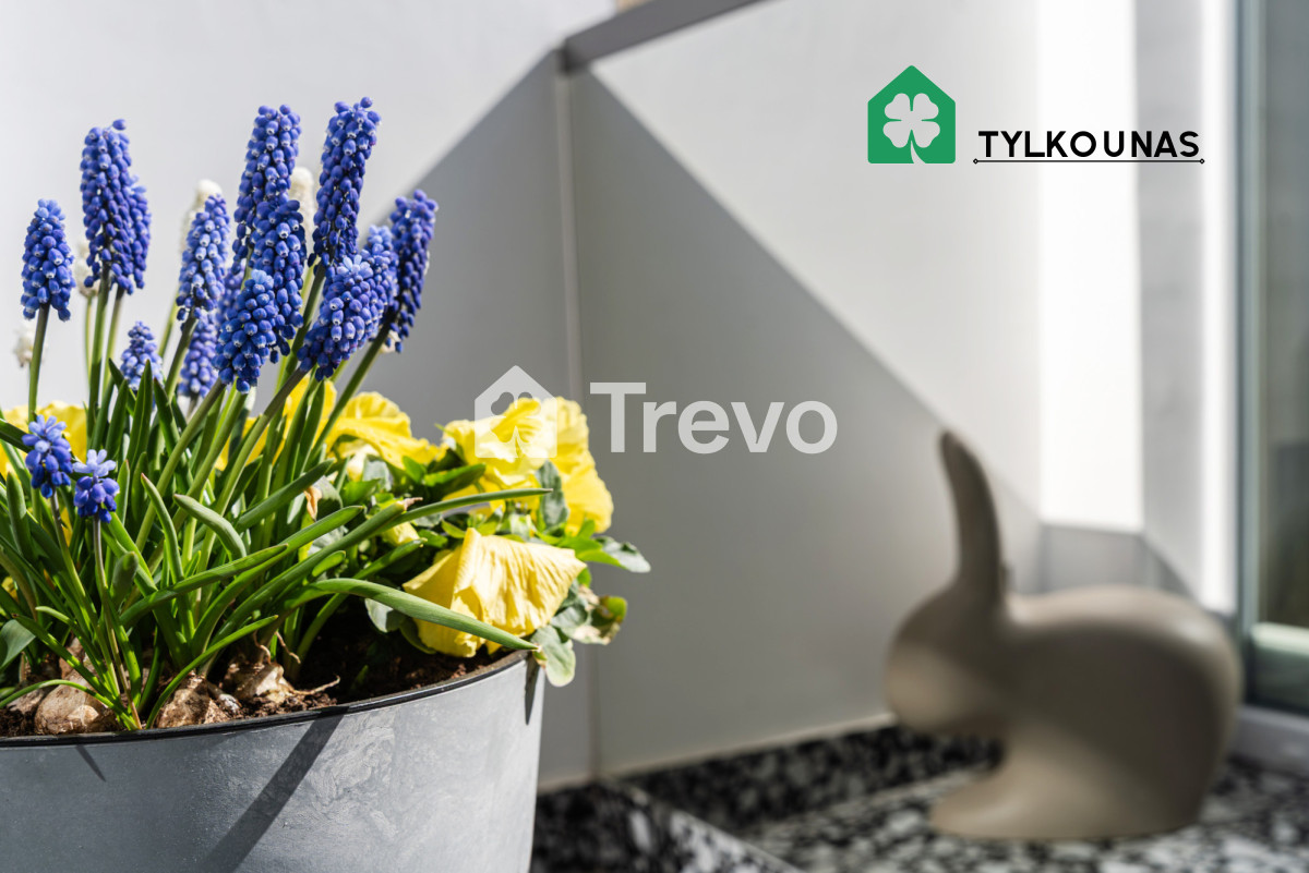 3 Pokoje | Widok na morze | Cicha okolica | Gdynia - Gallery Image 8