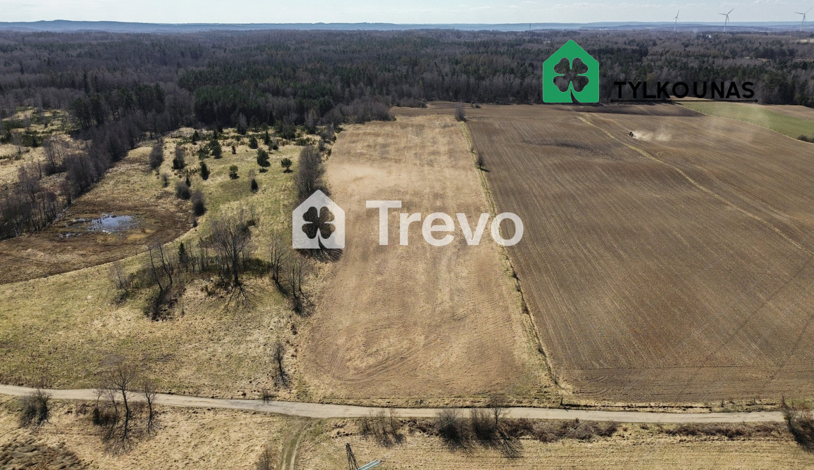 Spokojna lokalizacja | Blisko jeziora | Las - Gallery Image 2