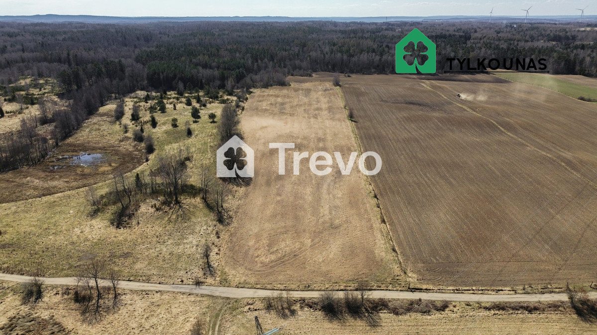 Spokojna lokalizacja | Blisko jeziora | Las - Gallery Image 2