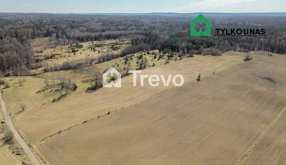 Spokojna lokalizacja | Blisko jeziora | Las - Gallery Image 3