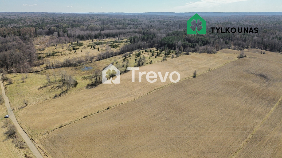 Spokojna lokalizacja | Blisko jeziora | Las - Gallery Image 3