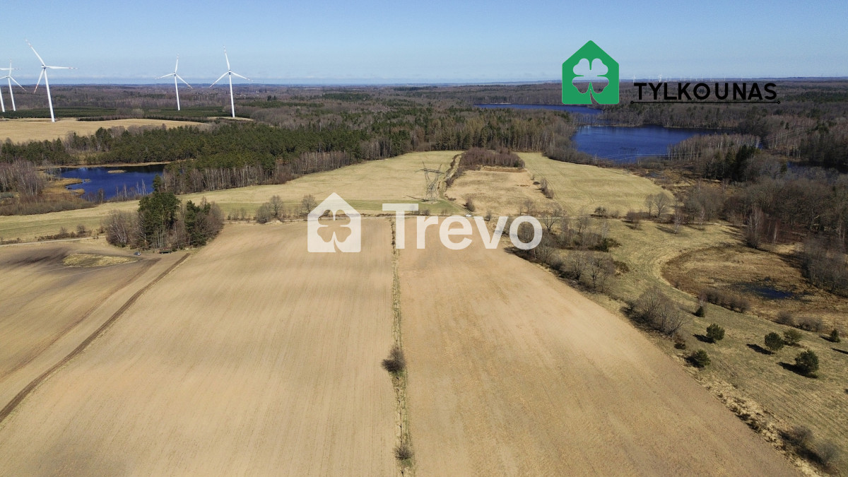 Spokojna lokalizacja | Blisko jeziora | Las - Gallery Image 4