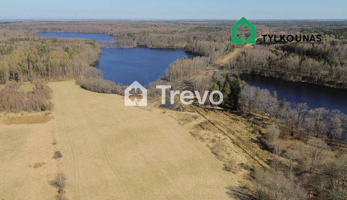 Spokojna lokalizacja | Blisko jeziora | Las - Gallery Image 7