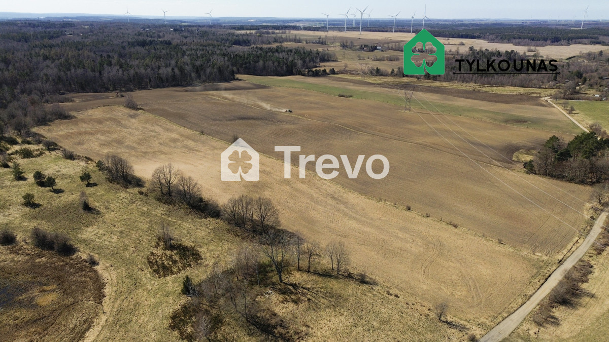 Spokojna lokalizacja | Blisko jeziora | Las - Gallery Image 8