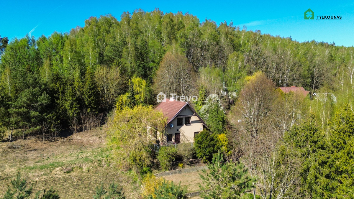Dom z lasem na działce 2726 m² | Ostrzyce - Gallery Image 23