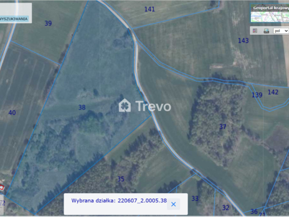 Property 11975456
