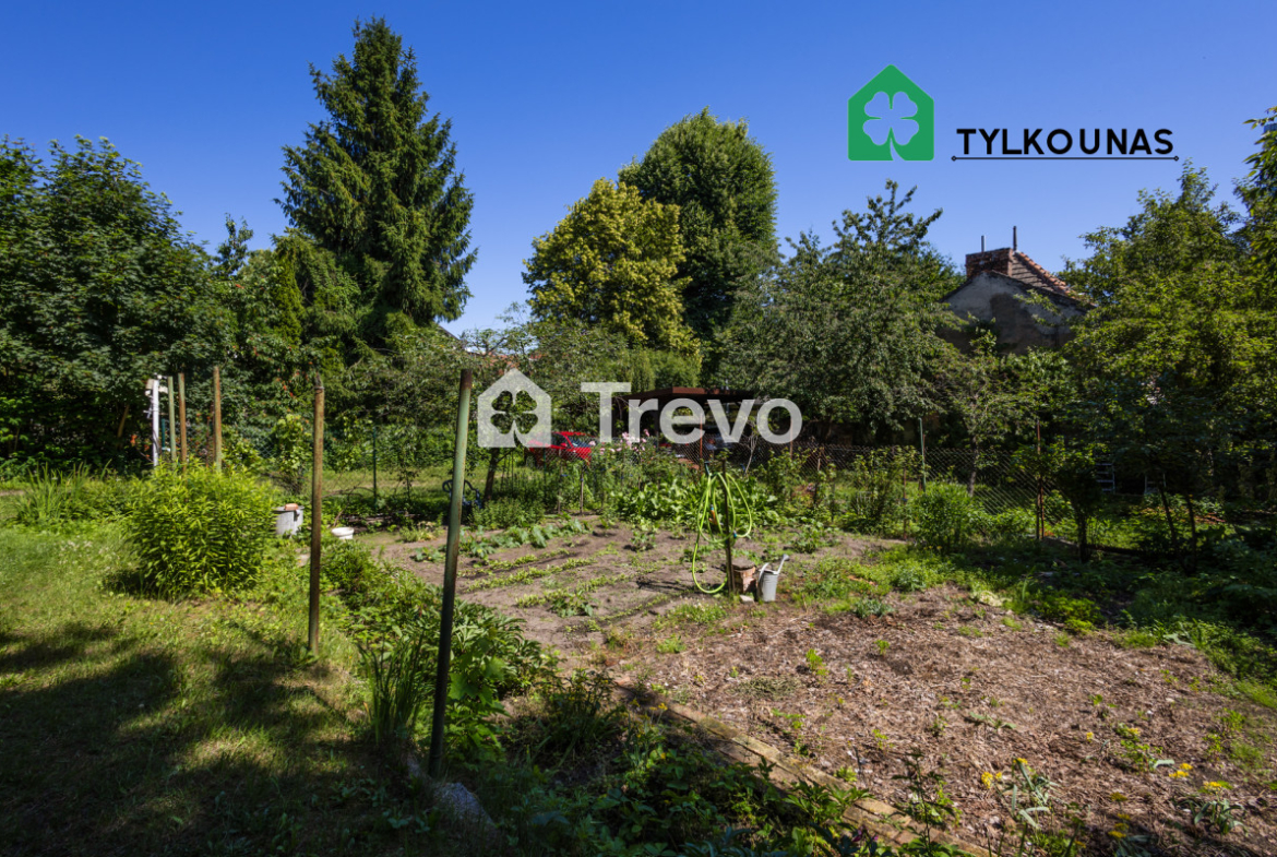 Prywatny ogród | Stara Oliwa | Miejsce parkingowe - Gallery Image 13