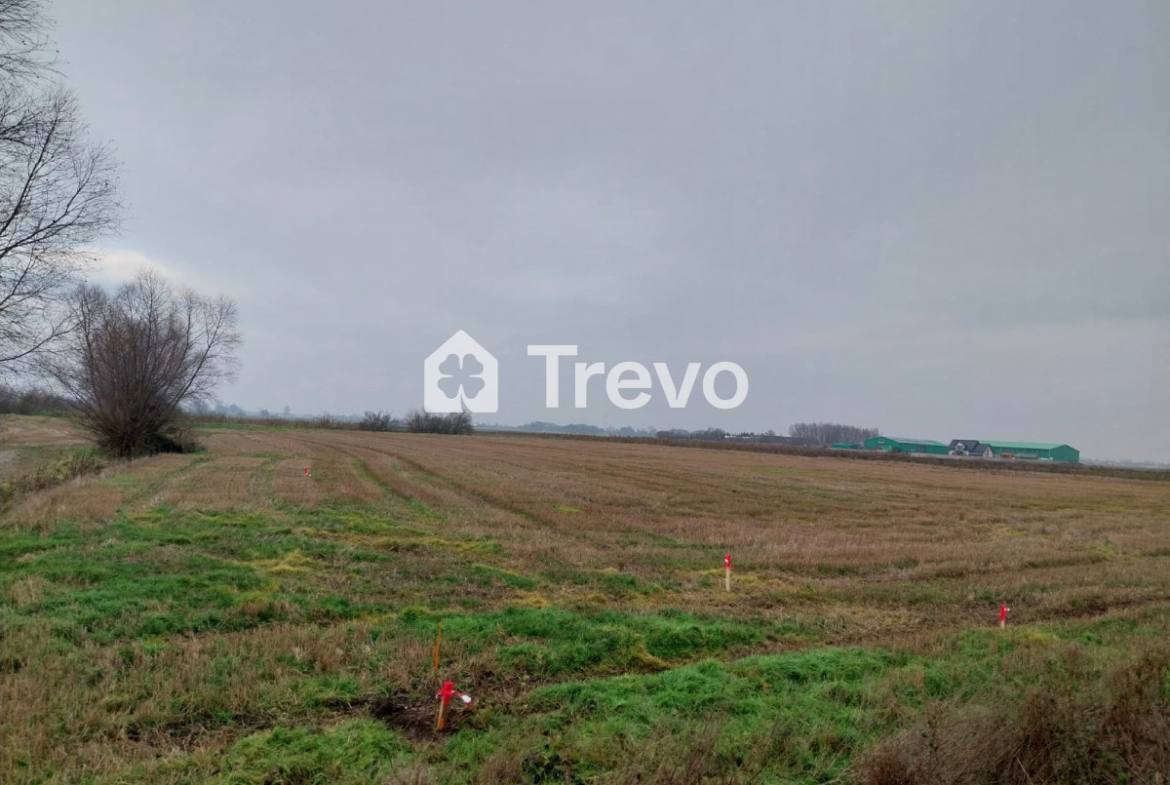 Property 12104837 - Gallery Image 11