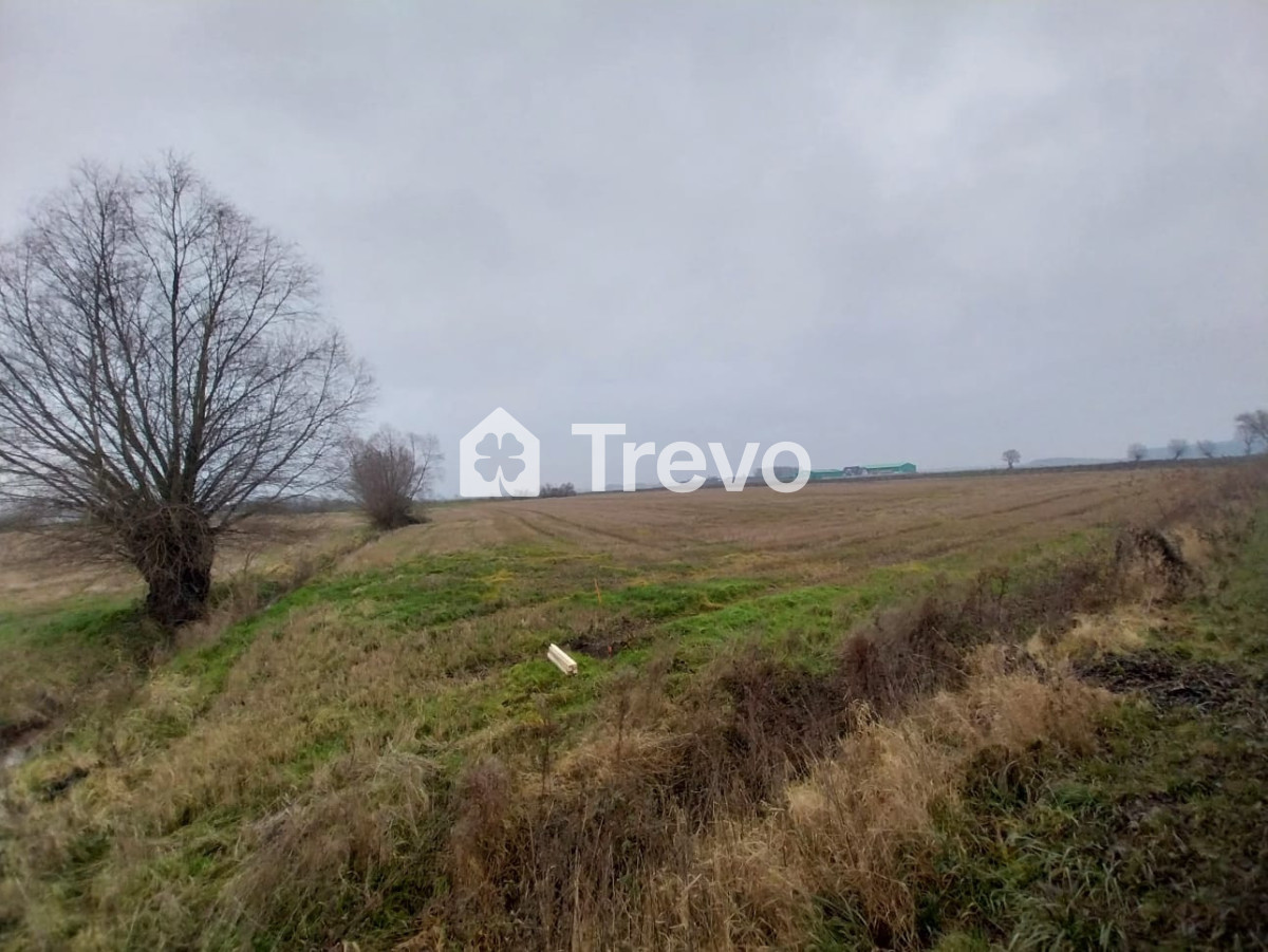 Property 12104837 - Gallery Image 12