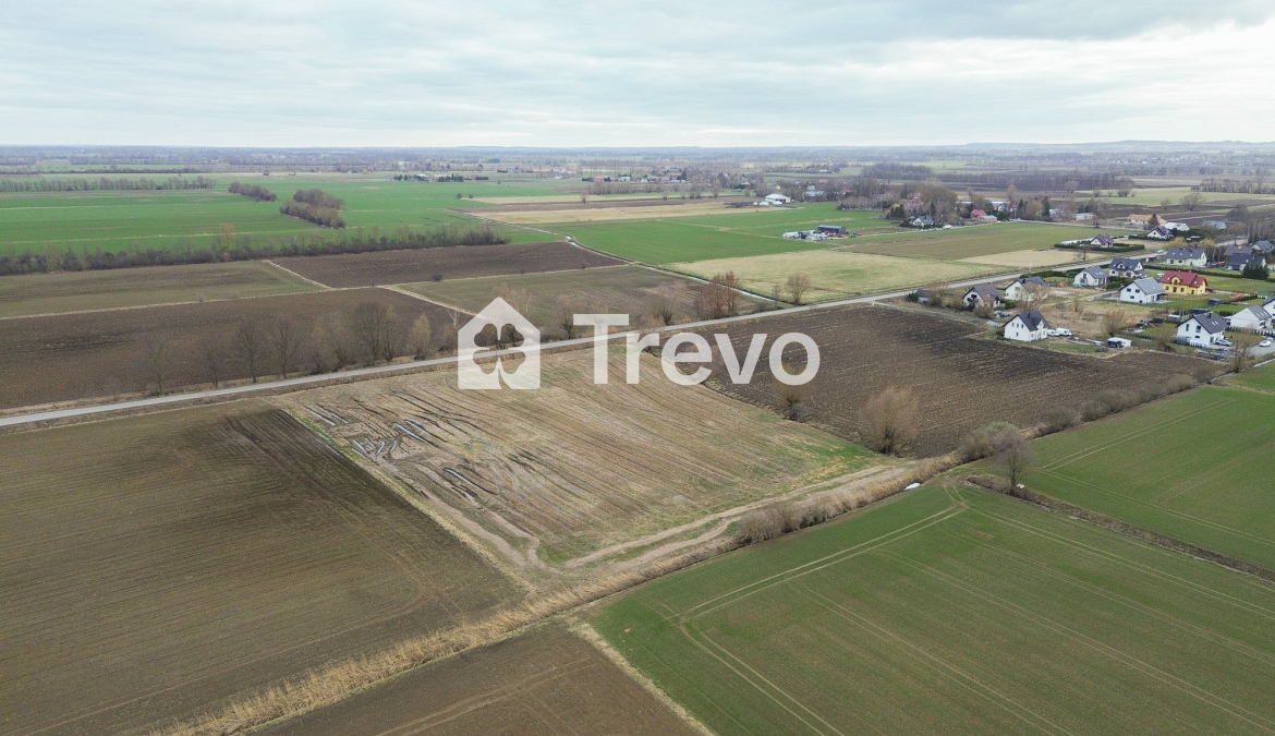 Property 12104837 - Gallery Image 3