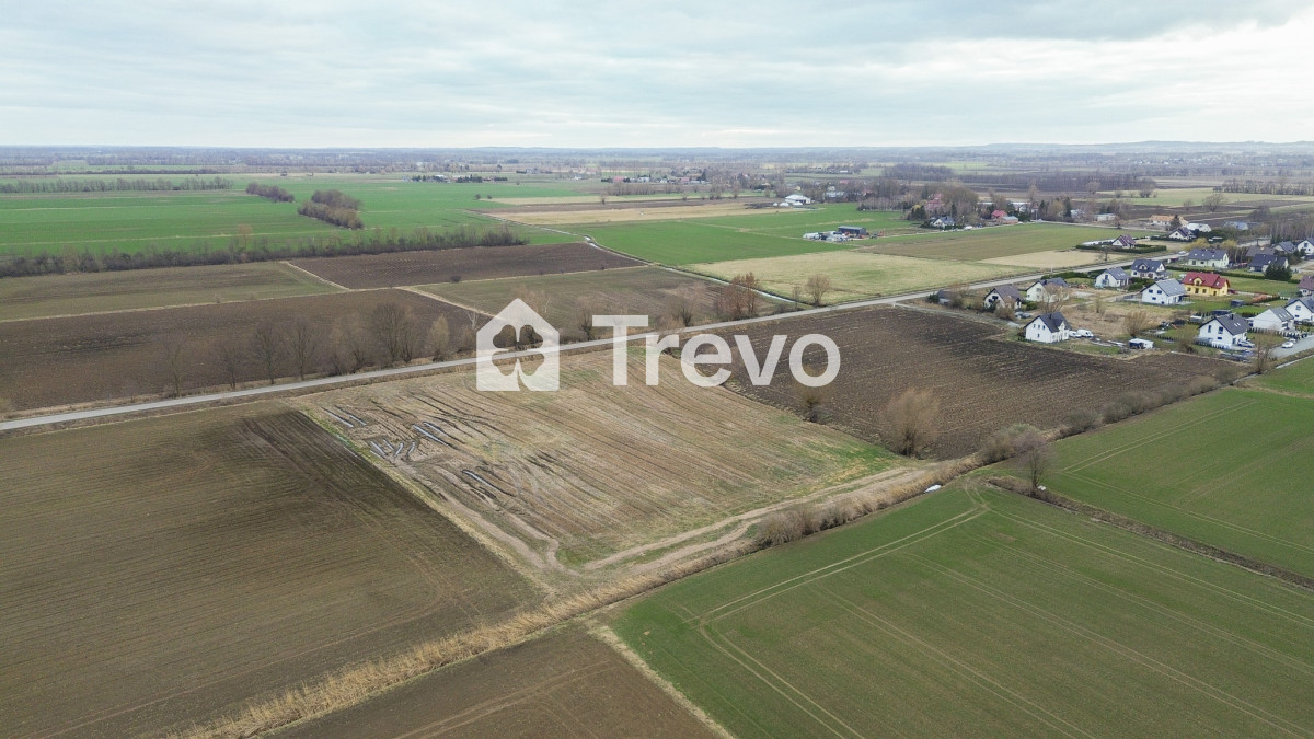 Property 12104837 - Gallery Image 3